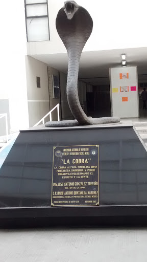 La Cobra 
