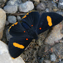 Electron Metalmark