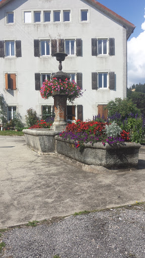 Fontaine Du Tyrol