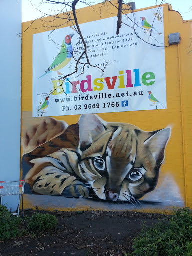 Birdsville Cat