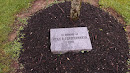 Ryan P.  Fenstermaker Memorial