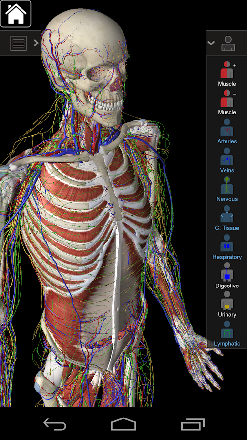 Essential Anatomy 3 for Orgs. — приложение на Android