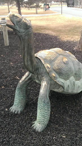 Turtle Statue