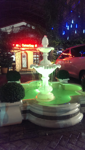 Plaza Ibarra Fountain