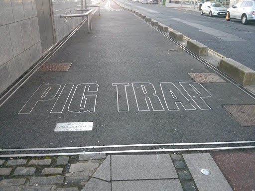Pig Trap