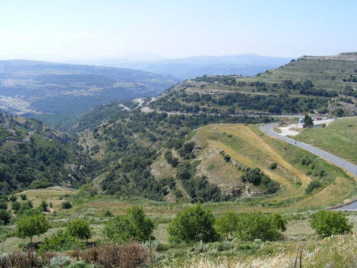 DSCF0517.JPG