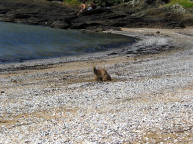 [clip_image040[3].jpg]