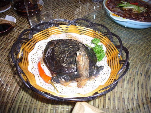 [turtle[2].jpg]