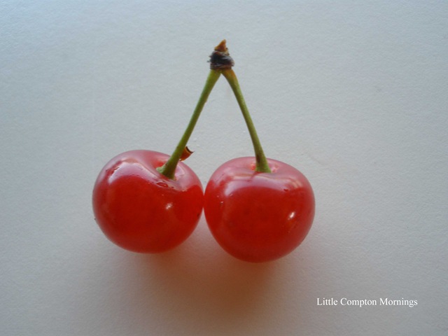 [Sour cherries stem[7].jpg]
