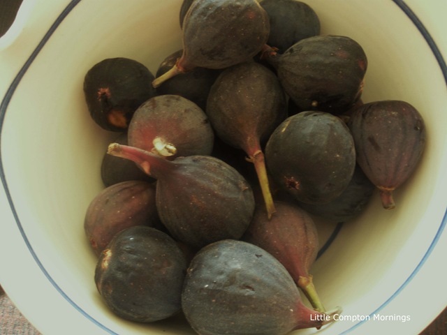 [Rosemary syrup figs copy[4].jpg]