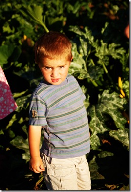 2008 07 16 011 copy