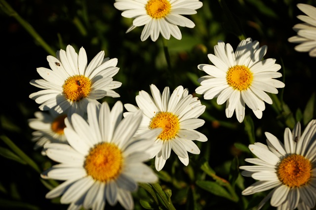 [20080716013copy2.jpg]