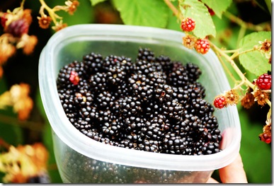 berries