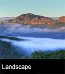 Landscapes