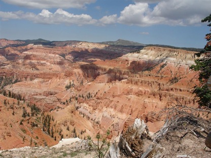 summer_2008 082