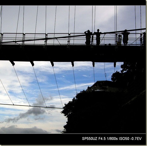 modify_P4190226