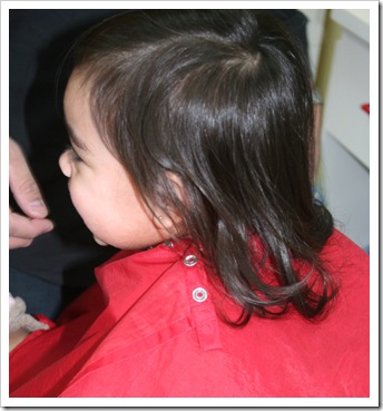 1stcut1