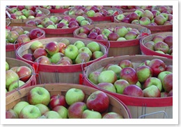 applefest