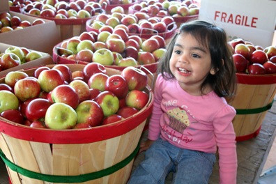 [apple7[4].jpg]