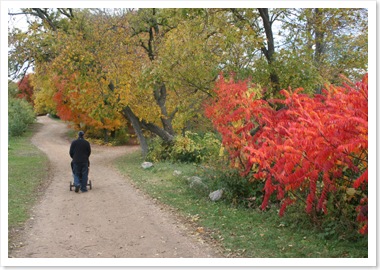 orchardstroller