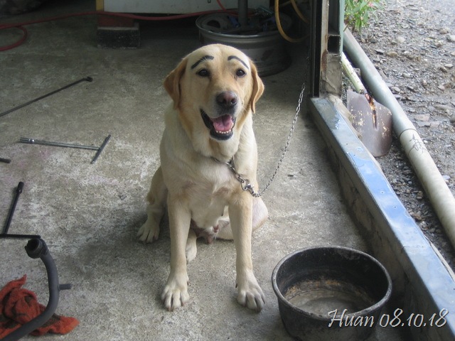 [IMG_9178_resize[52].jpg]