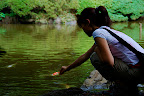 Aya feeds coy a pine needle in Shizen Kyoiku Park