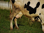 Utters!!