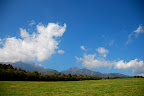 The cow pastures were huge, open and sweeping with great mountain views.