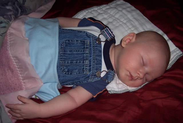 [2008-04-27 009[3].jpg]