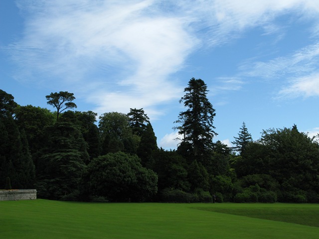 [dublinday20393.jpg]