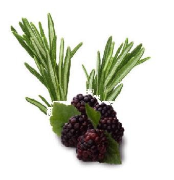 [blackberry rosemary[6].jpg]
