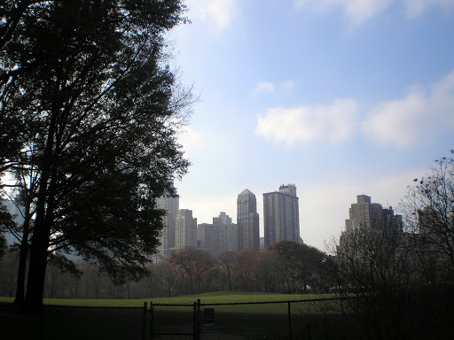 Central Park, New York