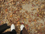 IMG_0643.jpg