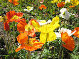 IMG_0358.jpg