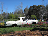 A ute stranded in a park full of flowers