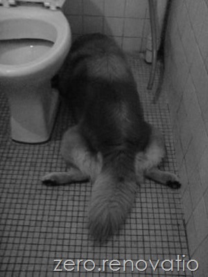 DSC00902