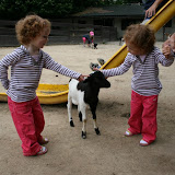 Zoo