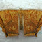 Moth