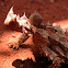 Thorny Devil 
