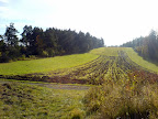 DSC00219-1.JPG