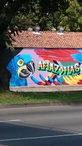 Mural Amazonas Zoológico Santa Fe