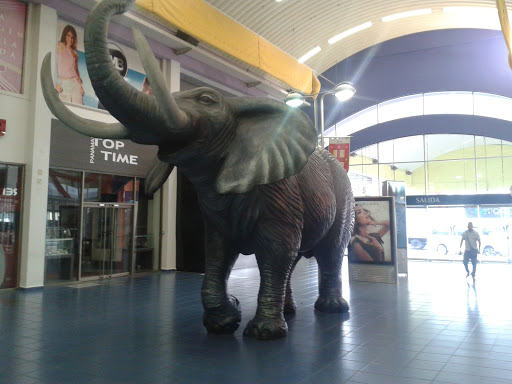 Elefante Albrook Mall