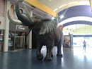 Elefante Albrook Mall