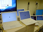 DSC07484.JPG