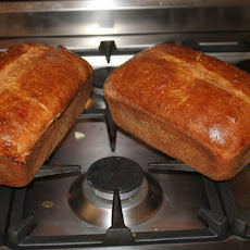 Honey Whole Wheat Bread