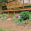 Joannaemmons's Foundation garden