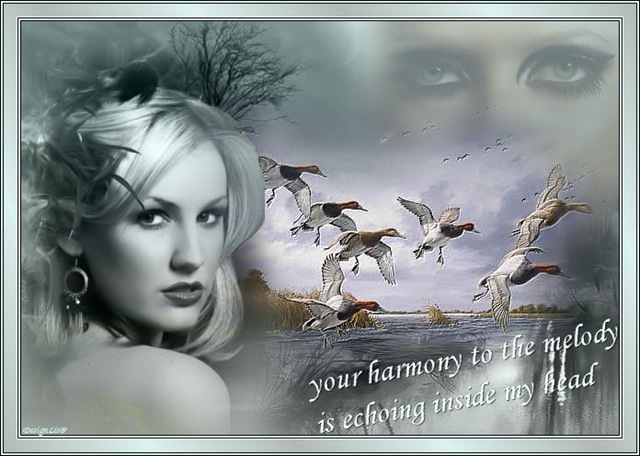 [HarmonyToTheMelody3.jpg]