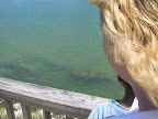 DSCN4015.JPG
