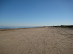 IMG_5211.jpg