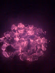 photo.jpg